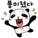 팀 드래곤 복싱 이미지