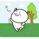 바나나 캠핑장 이미지