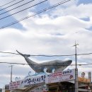 강릉 주문진 수산시장 대게 추천 풍물시장 대영수산, 주차장 정보까지