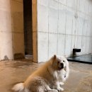 전북/완주군] 감성이 넘치는 한옥 스테이, 소양고택 가희당 숙박 후기-체크인/스파/조식(feat. 아원갤러리)