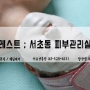 더포레스트스킨 이미지