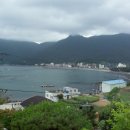 팜트리펜션 이미지