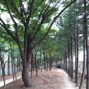 공릉길 이미지