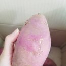 사계절농산