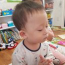 이찬저찬 이미지
