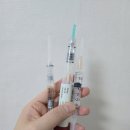 서울 라헬여성의원 | 시험관 신선 1차 (과배란부터 이식까지) 일정, 비용 후기