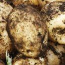 거창-가북-1 이미지