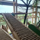 오션 캣 이미지