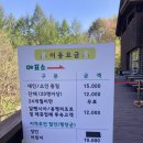 강원도놀거리 추천! 아이와 가기 좋은 평창놀거리 '토끼의 숲' 생생 방문 후기