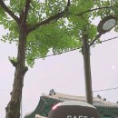 카페북오븐베이커리