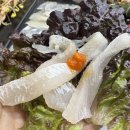 동남식당 | [포항경주 2박3일 여행] 포항 대게 맛집 죽도시장 대게 회거리 동남회식당 추천 후기