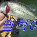 휴아이안경원 네이버블로그