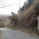 양구청과