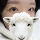 손상된 속눈썹도 살려주는 [보니또뷰티] 강서구 속눈썹 펌 추천!