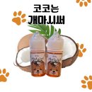 코코입