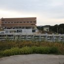 (주)자연촌 네이버블로그