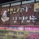 해적선생오리 이미지