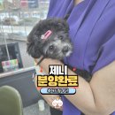 야옹아 멍멍해봐 계림점 이미지