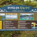 감나무골 물놀이공원 이미지