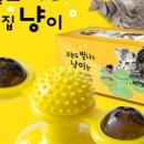 파인드스토리 이미지