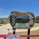 지구경로당 | 기후농부학교9강]초록빛 지구를 만드는 한 걸음/'기후...방학식 이야기 /놀만치 소속 참여 후기/2026.7.11