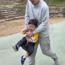화원동산 어린이 놀이터 | 대구 화원유원지 동물원 모래놀이 놀이터까지
