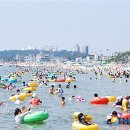 대천해수욕장 이미지