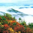 설악산천연보호구역 이미지