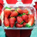 재인 농장 이미지