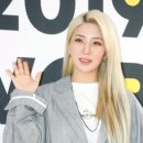 자이언트핑크 카카오 검색결과