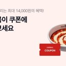 케이시지 전자신문