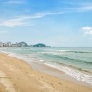 송정 미연 이미지