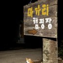 봉평마가리 캠핑장 | 🌿 여름 계곡 캠핑장 추천! 평창 마가리 캠핑장 솔직 후 기 (전기 O / 샤워실 깔끔 / 별 보기 명소✨)