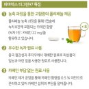 티그린 이미지