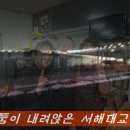 [서해랑길11차] 당진 왜목마을~장고항~서해대교~삽교천방조제~공세리성당 (2025.2.2) 이미지