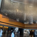 망고호텔 | 신라호텔 더 라이브러리, 망고빙수 후기