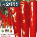 장성종묘
