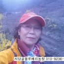 서당골농장 이미지