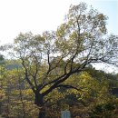 건민산업 이미지