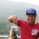 동교낚시터