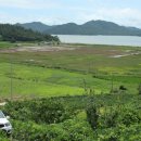 등구농장 이미지