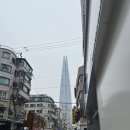 쥬디미용실 | 하모니 송리단길점 : 쥬디실장님 내돈내산 후기 😊