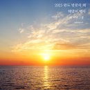 2025 완도 방문의해 해맞이 행사, 신지 명사십리에서 새해의 첫 태양을 맞이해보세요!
