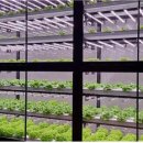 윤정희농장 이미지