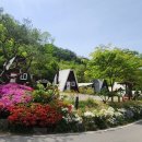 강촌카써비스 이미지