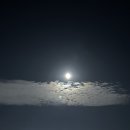 그리스펜션 이미지