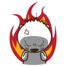 키즈쿠아 이미지