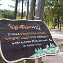 힐링데이 이미지