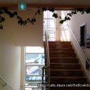 더플로우어린이집 이미지