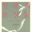 달동네 떡볶이 | 김연수 「청춘의 문장들」 후기: 나에게는 조금 늦은 이야기